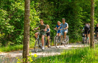 Foto 3 - Haus mit 3 Schlafzimmern in Arnheim mit schwimmbad und garten