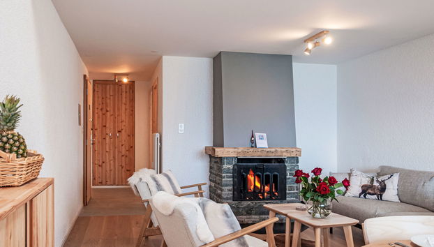 3 bedroom Apartment in Nendaz with swimming pool - Photo 4