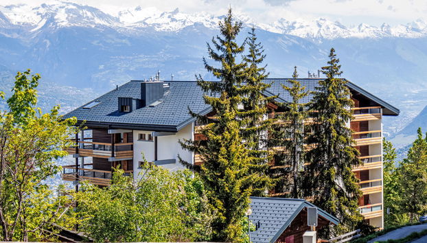 3 bedroom Apartment in Nendaz with swimming pool - Photo 3