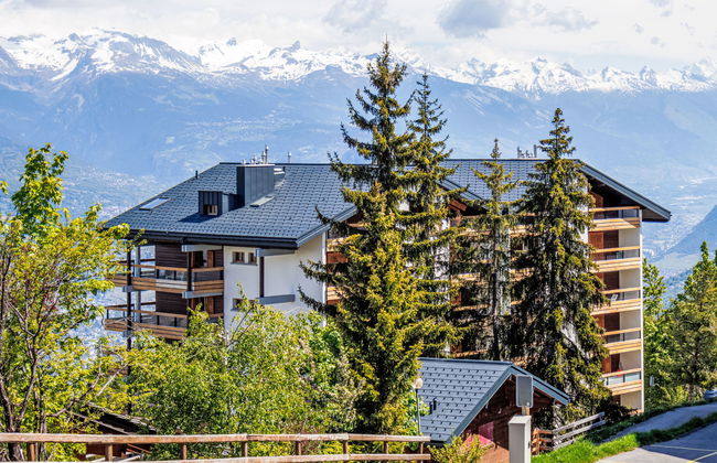 Apartamento de 3 quartos em Nendaz com piscina - Foto 3