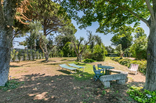 Foto 61 - Appartamento con 2 camere da letto a Montalto di Castro con piscina e giardino