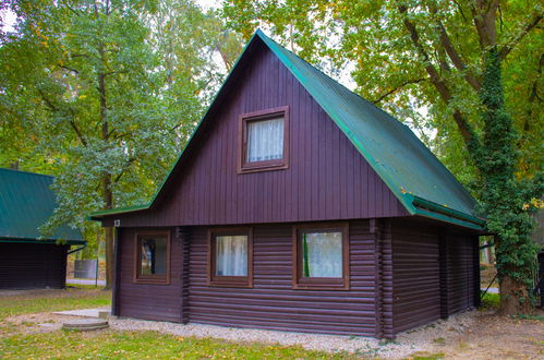 Foto 20 - Casa con 3 camere da letto a Hradec Kralove con giardino