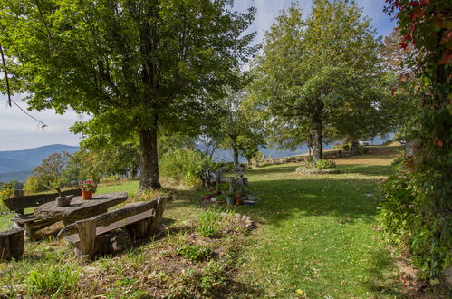 Photo 62 - Maison de 3 chambres à San Marcello Piteglio avec piscine privée et jardin