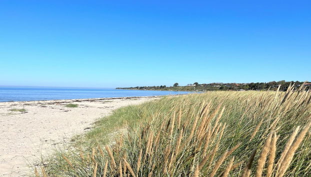 Casa de 1 habitación en Næsby Strand con terraza - Foto 4