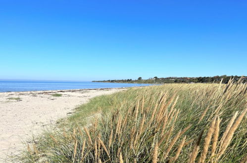 Foto 4 - Casa de 1 quarto em Næsby Strand com terraço