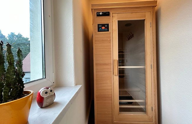 Apartamento de 1 quarto em Großschönau com sauna - Foto 17