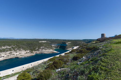 Foto 43 - Casa de 4 quartos em Bonifacio com piscina privada e vistas do mar