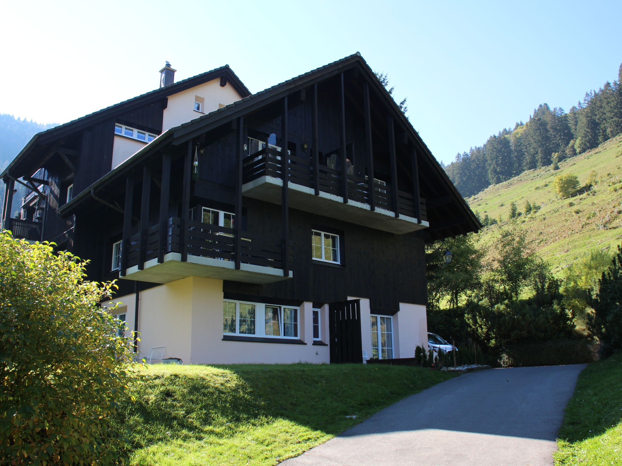 Photo 11 - 1 bedroom Apartment in Gruyères