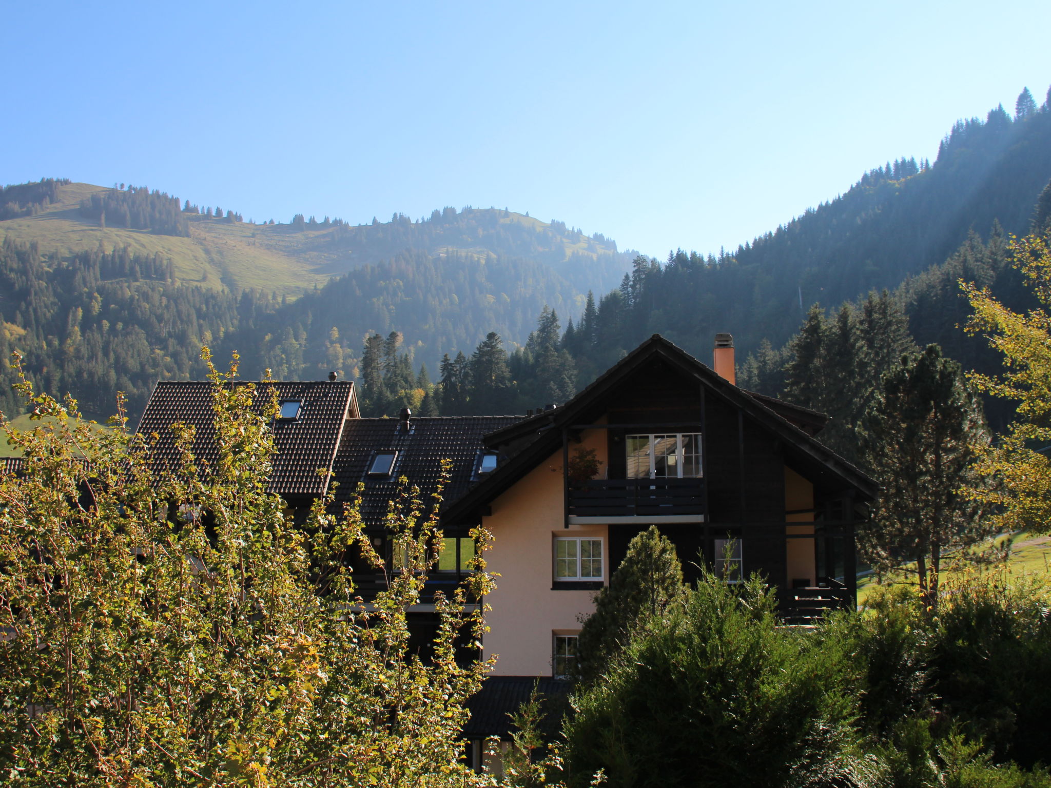 Foto 10 - Apartamento de 1 habitación en Gruyères con vistas a la montaña