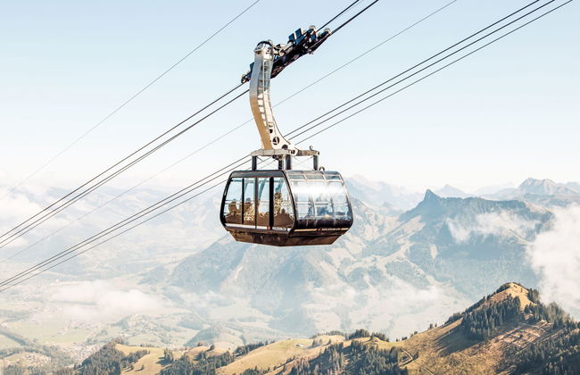 Apartment mit 2 Schlafzimmern in Greyerz - Foto 15