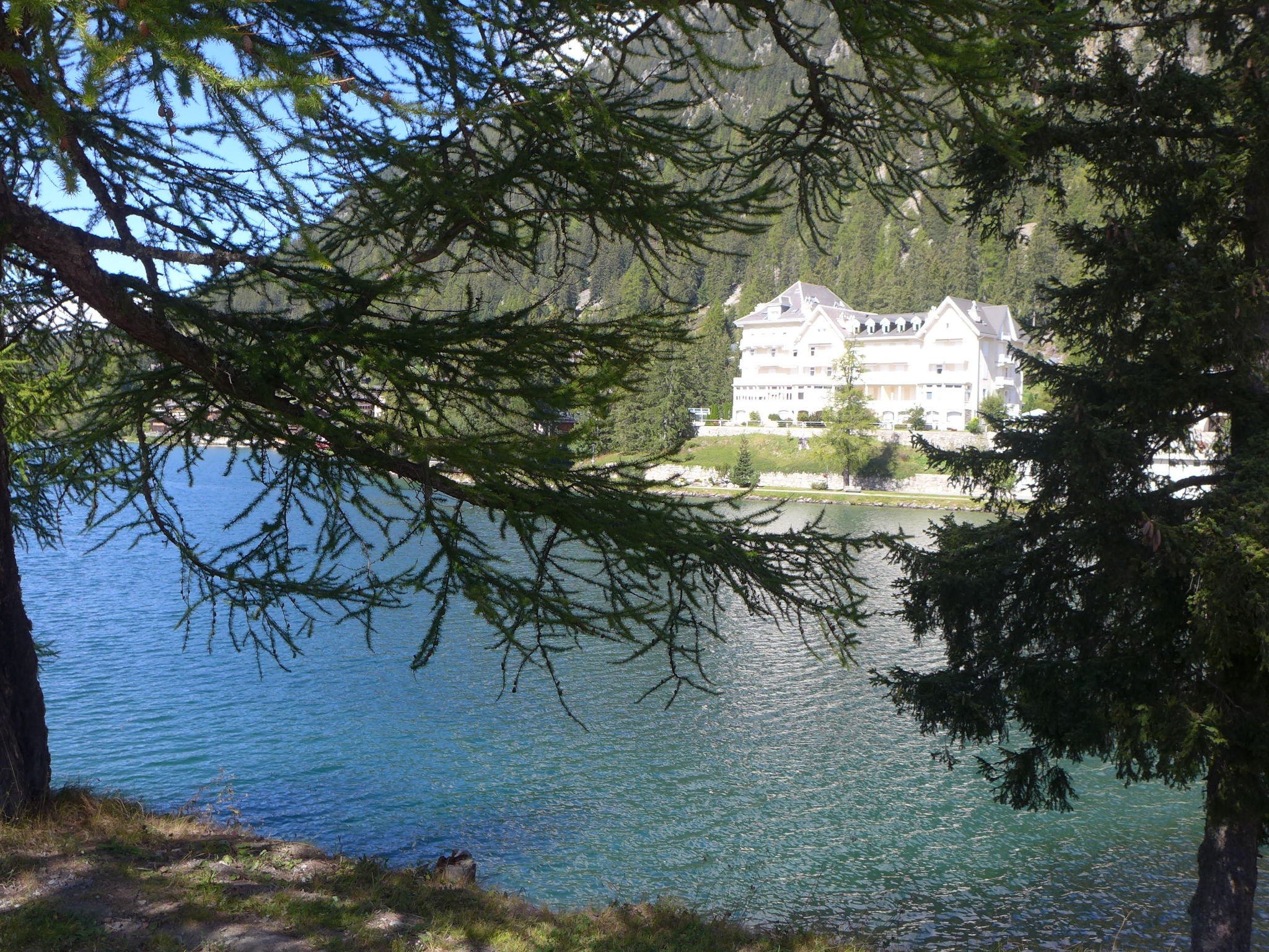 Foto 5 - Appartamento con 2 camere da letto a Orsières con vista sulle montagne