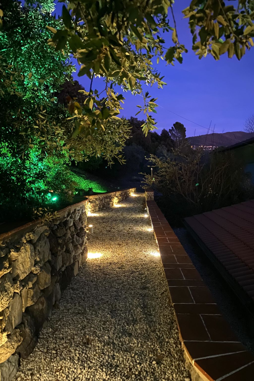 Photo 33 - Maison de 1 chambre à Castellina Marittima avec jardin et terrasse