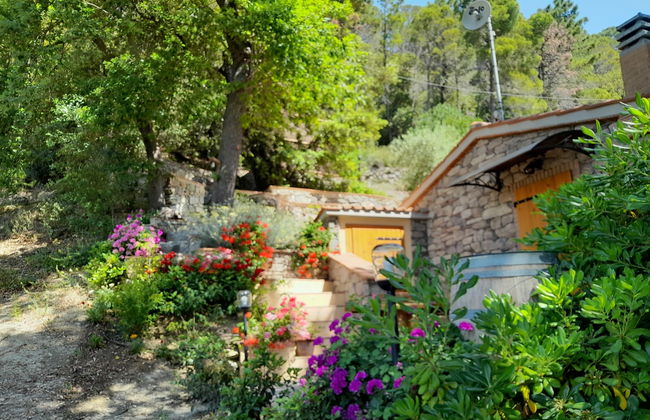 Casa de 2 quartos em Castellina Marittima com jardim e terraço - Foto 28