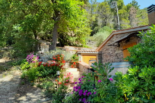 Photo 28 - Maison de 1 chambre à Castellina Marittima avec jardin et vues à la mer