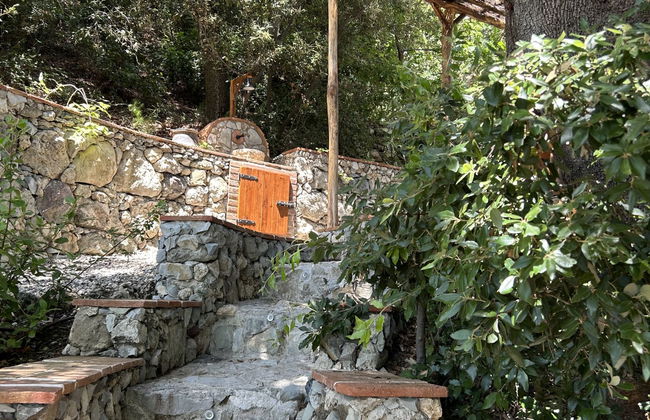 Casa de 2 quartos em Castellina Marittima com jardim e terraço - Foto 46