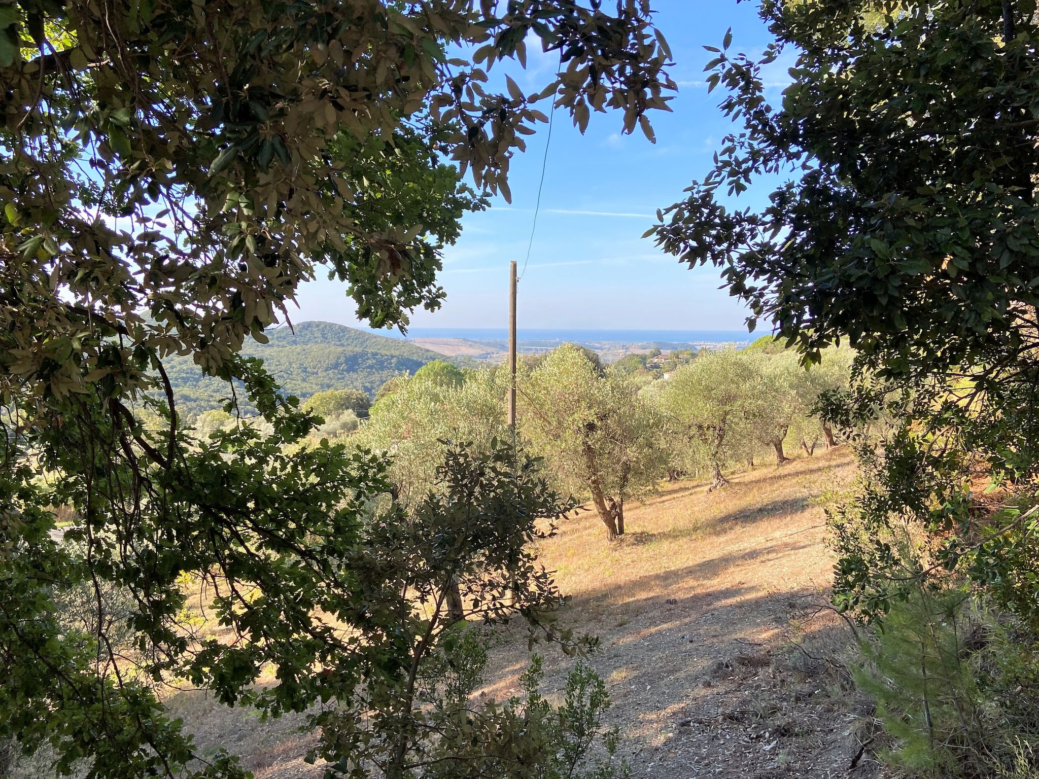 Foto 5 - Casa de 1 quarto em Castellina Marittima com jardim e vistas do mar