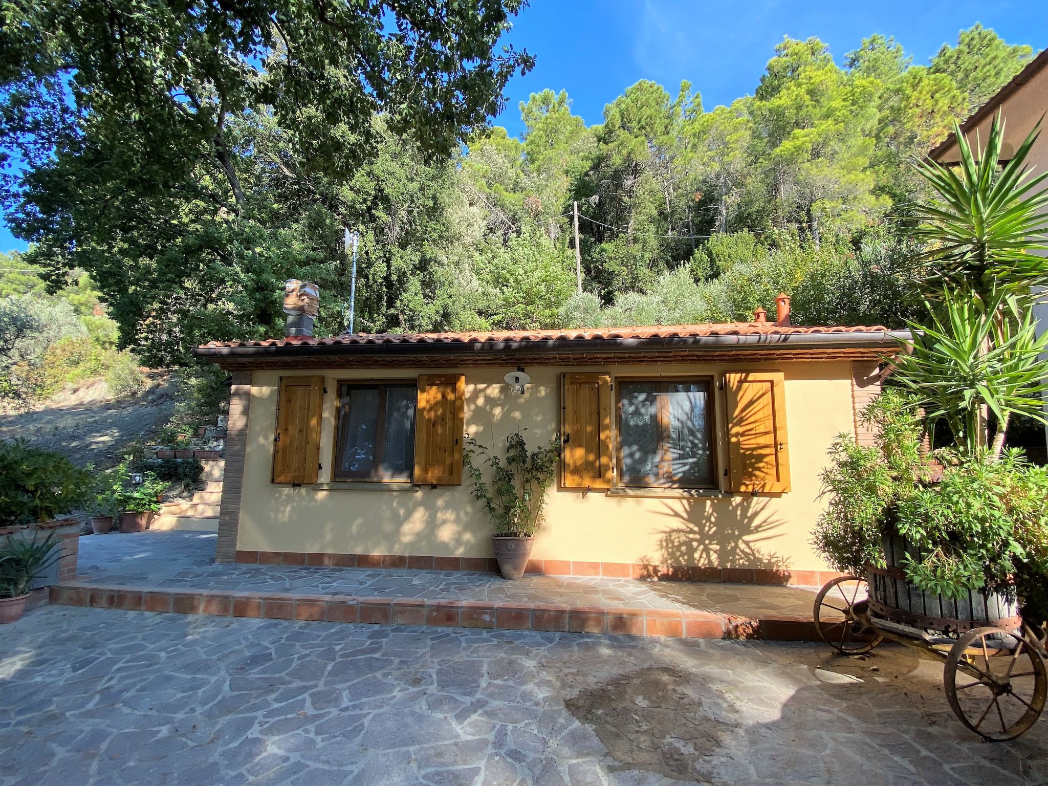 Photo 3 - Maison de 1 chambre à Castellina Marittima avec jardin et vues à la mer