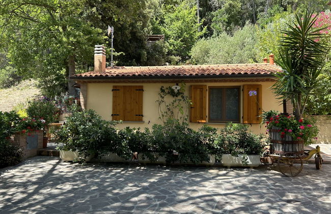Casa de 2 quartos em Castellina Marittima com jardim e terraço - Foto 27