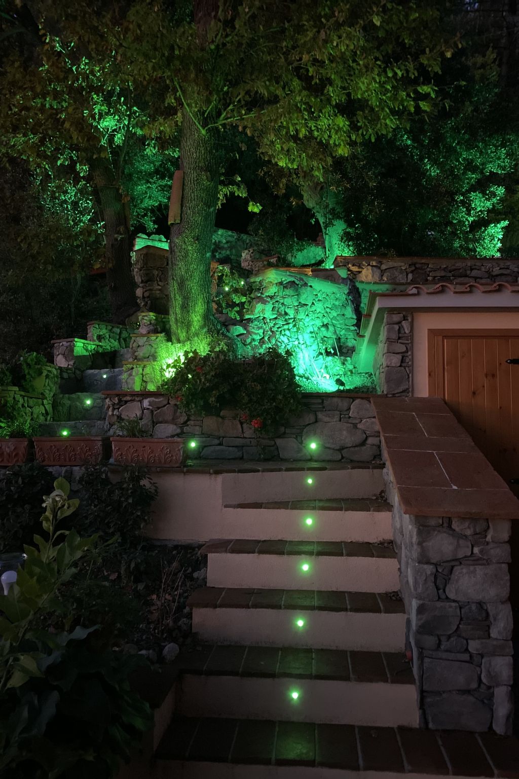 Photo 42 - Maison de 1 chambre à Castellina Marittima avec jardin et terrasse