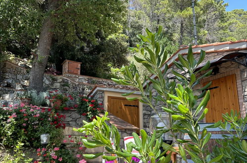 Foto 48 - Casa de 1 habitación en Castellina Marittima con jardín y vistas al mar