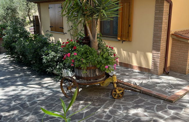 Casa de 2 quartos em Castellina Marittima com jardim e terraço - Foto 45