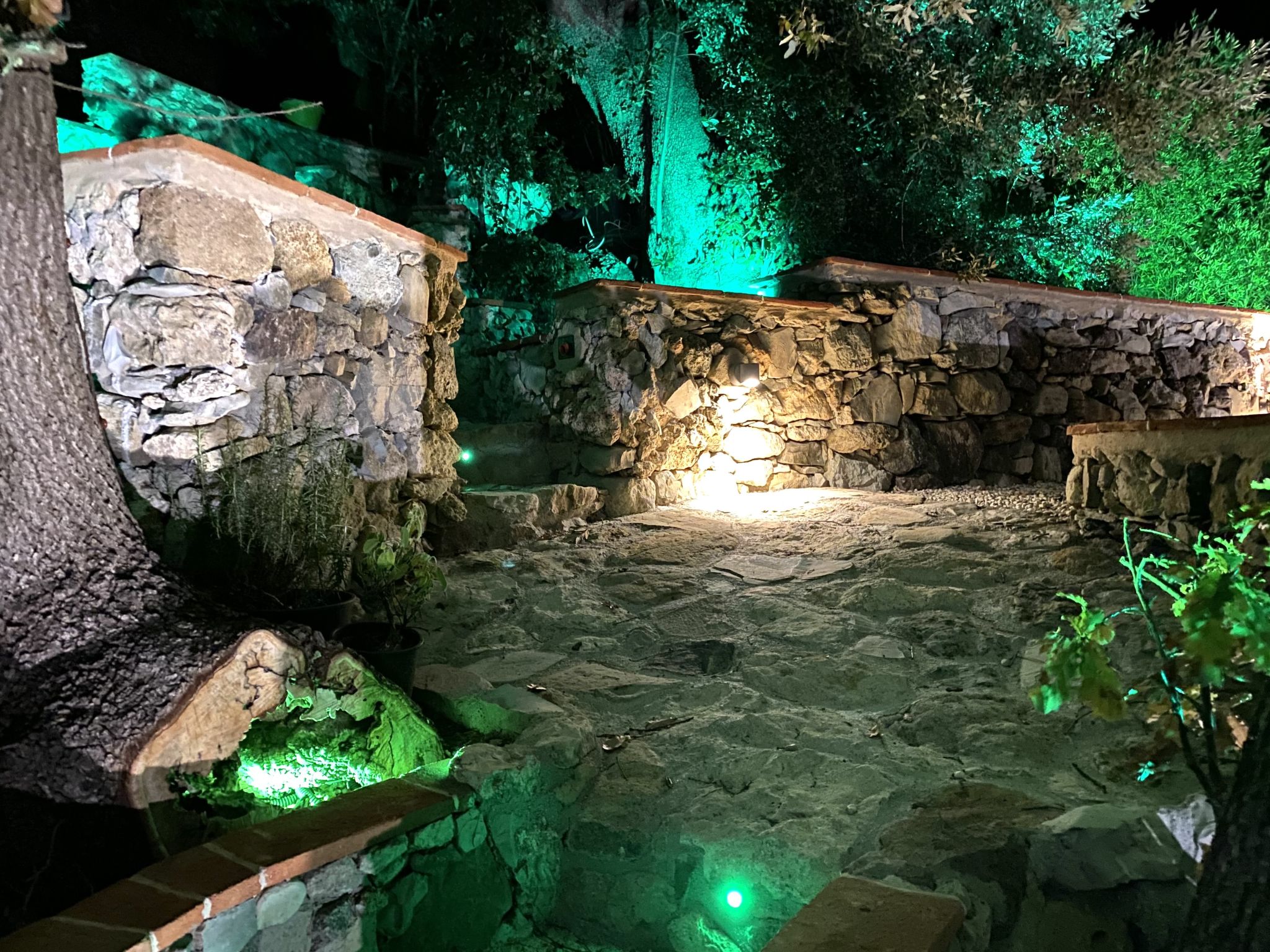 Photo 44 - Maison de 1 chambre à Castellina Marittima avec jardin et terrasse