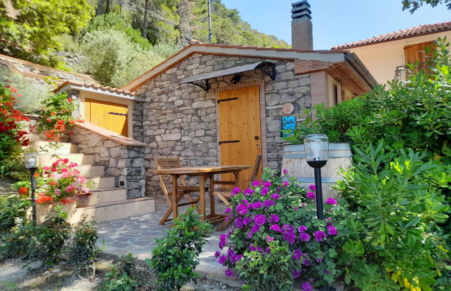 Casa de 2 quartos em Castellina Marittima com jardim e terraço - Foto 1