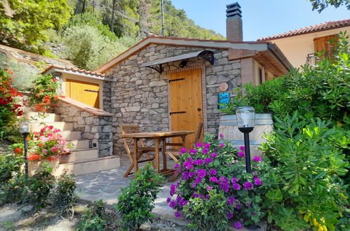 Photo 1 - Maison de 1 chambre à Castellina Marittima avec jardin et terrasse