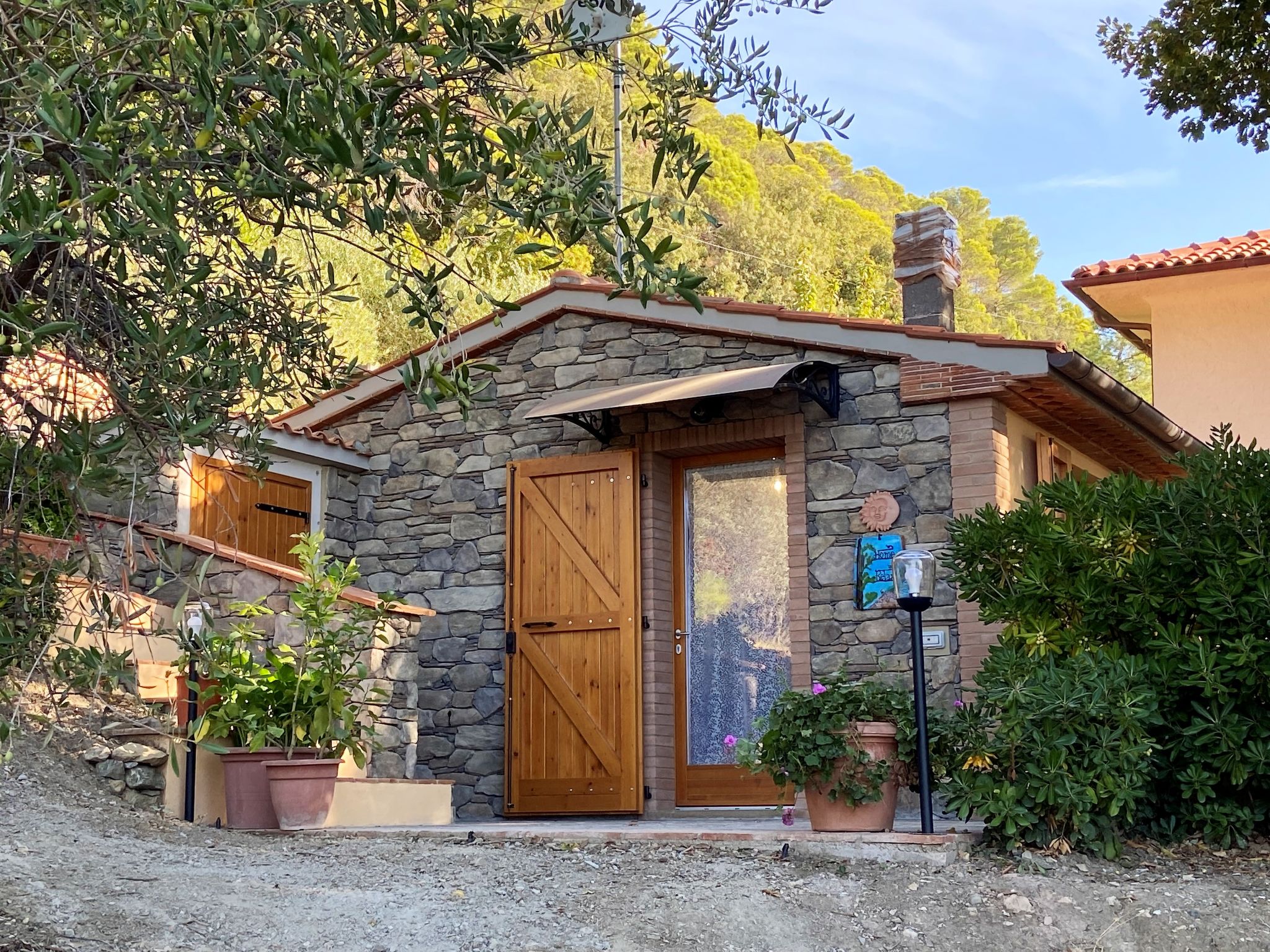 Photo 29 - Maison de 1 chambre à Castellina Marittima avec jardin et terrasse