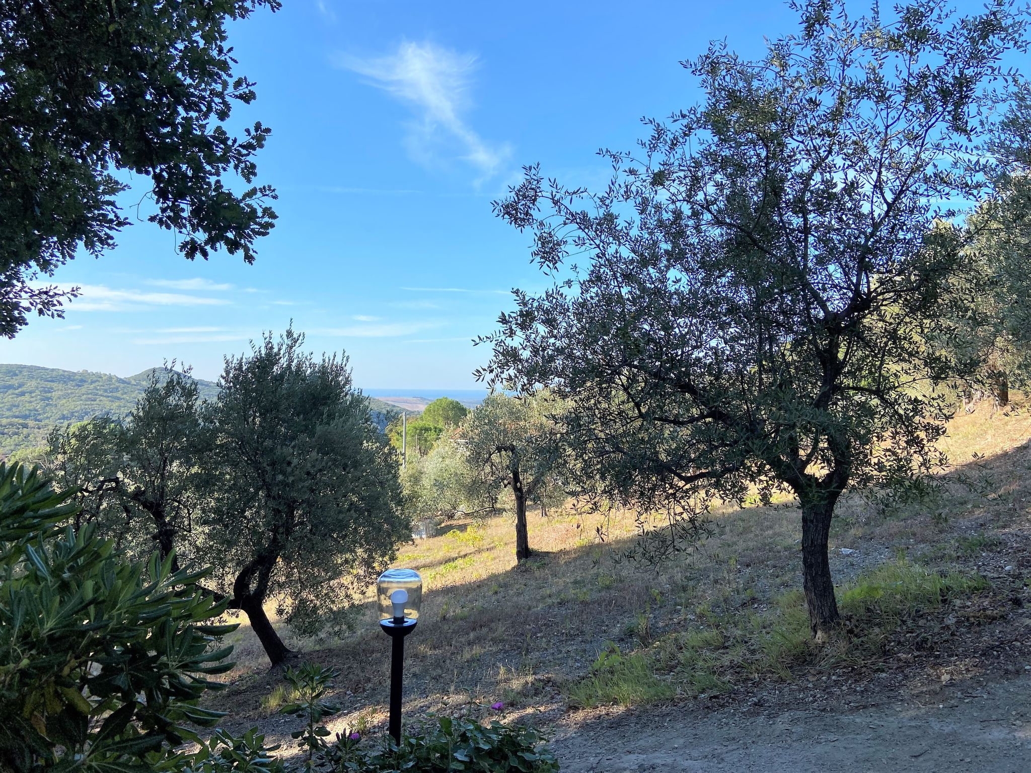 Foto 43 - Casa de 1 habitación en Castellina Marittima con jardín y vistas al mar