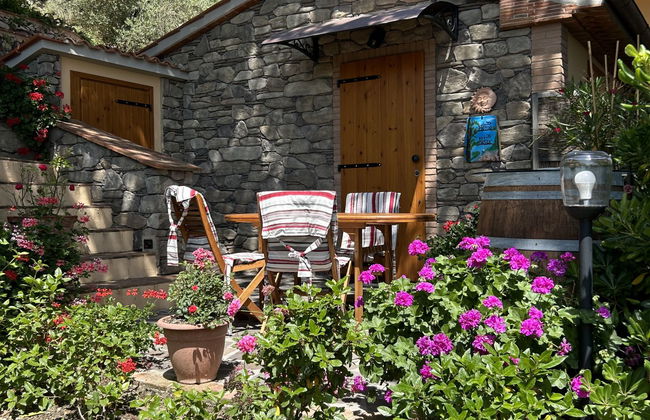 Casa de 2 quartos em Castellina Marittima com jardim e terraço - Foto 51