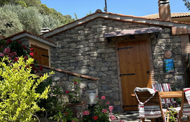 Casa de 2 quartos em Castellina Marittima com jardim e terraço - Foto 50