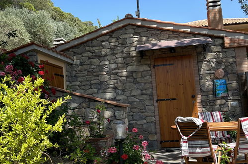 Photo 50 - Maison de 1 chambre à Castellina Marittima avec jardin et vues à la mer