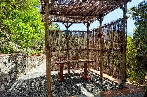 Photo 4 - Maison de 1 chambre à Castellina Marittima avec jardin et vues à la mer