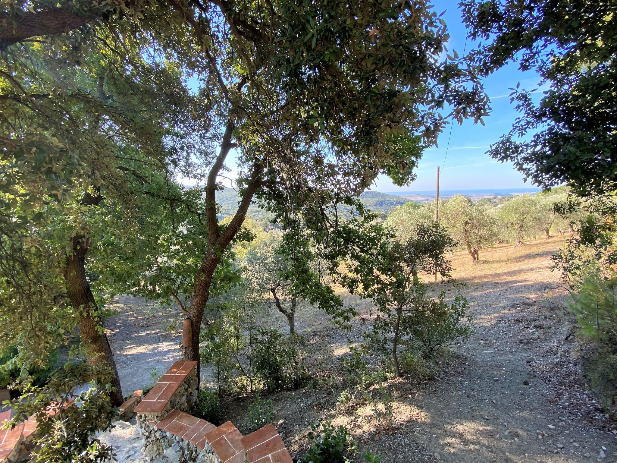 Foto 31 - Casa de 1 habitación en Castellina Marittima con jardín y vistas al mar