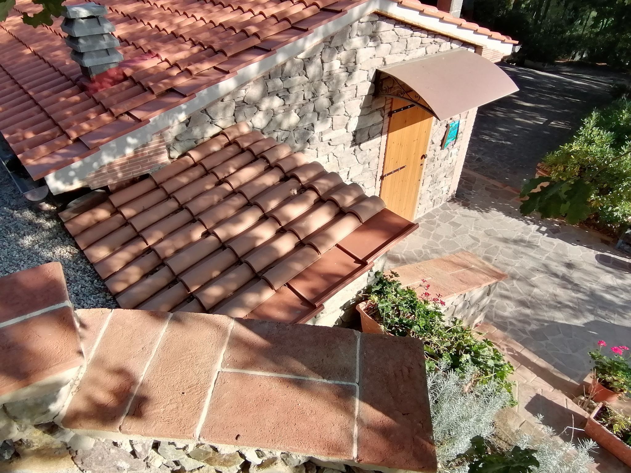 Photo 34 - Maison de 1 chambre à Castellina Marittima avec jardin et terrasse