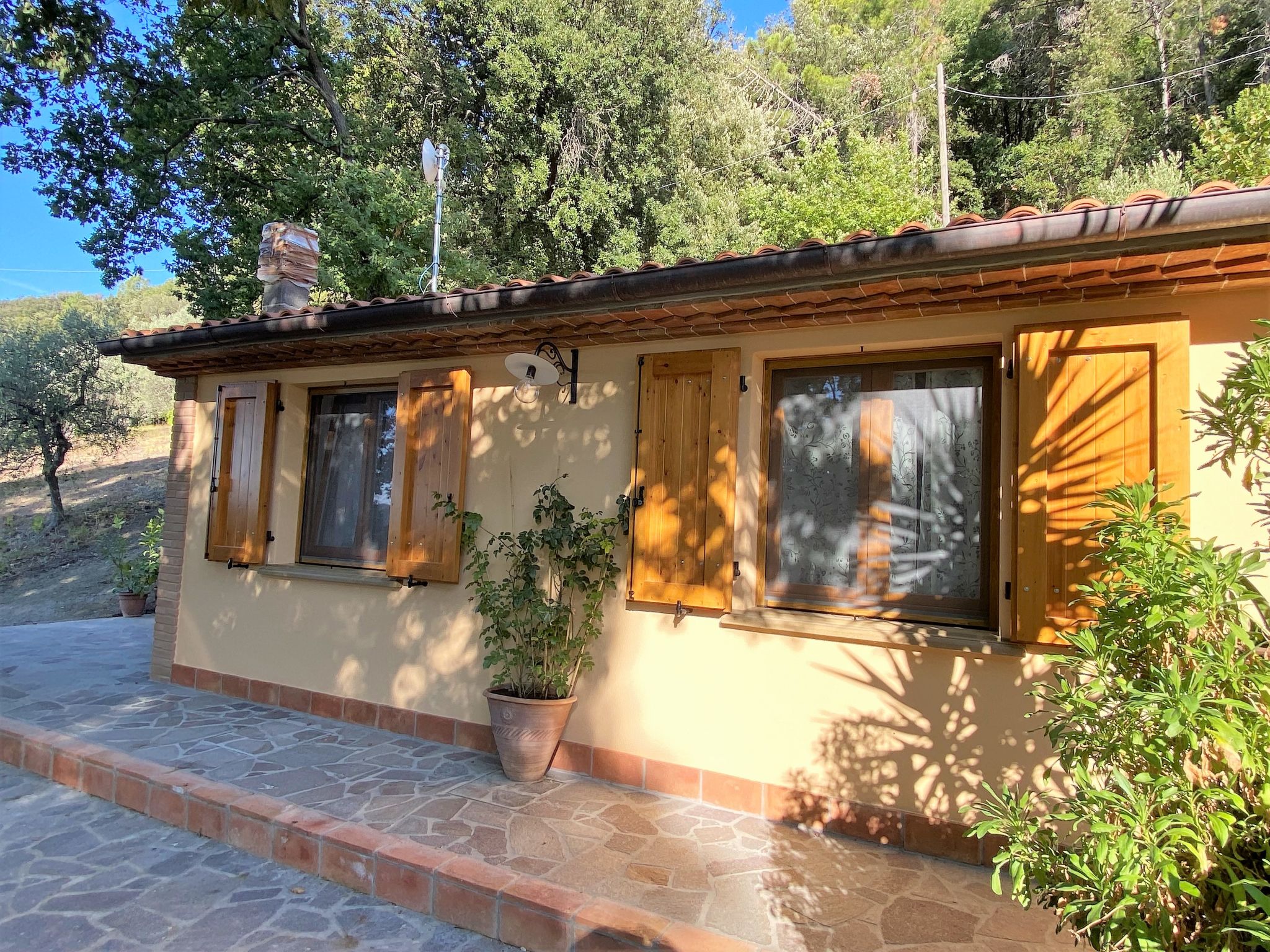 Photo 39 - Maison de 1 chambre à Castellina Marittima avec jardin et terrasse