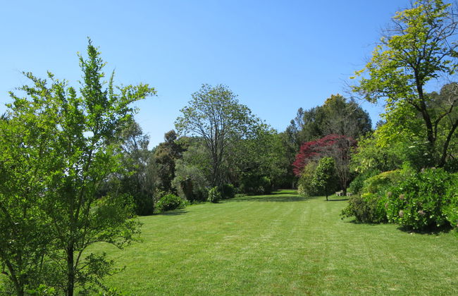 Casa de 4 quartos em Viana do Castelo com jardim e terraço - Foto 59