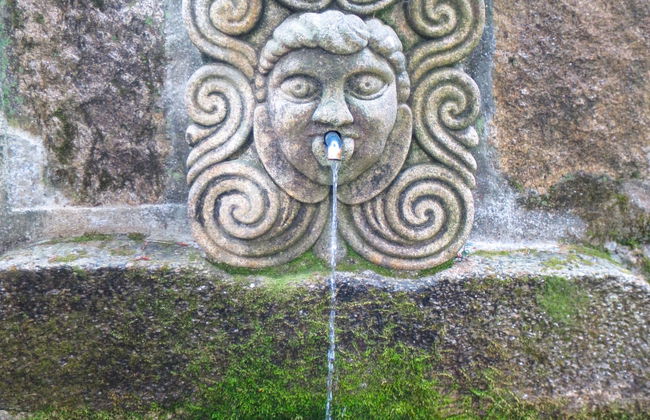 Casa de 4 quartos em Viana do Castelo com jardim e terraço - Foto 61