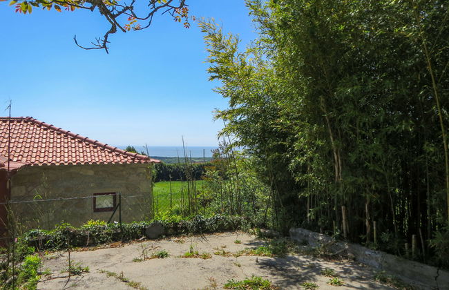 Casa de 4 quartos em Viana do Castelo com jardim e terraço - Foto 64