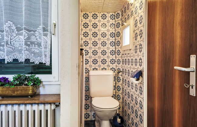 Casa de 2 quartos em Alto Malcantone com jardim - Foto 18