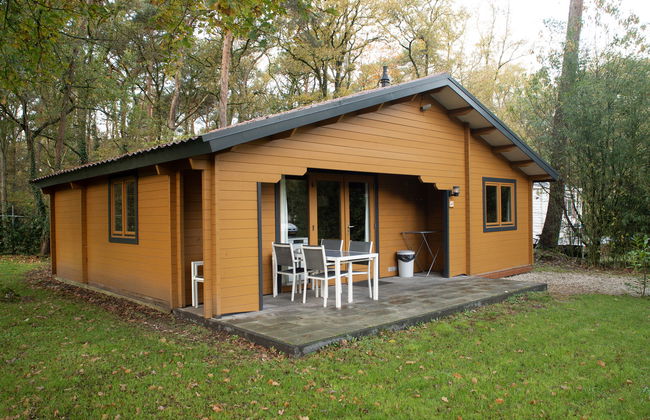 Casa con 4 camere da letto a Schinveld con giardino e terrazza - Foto 5