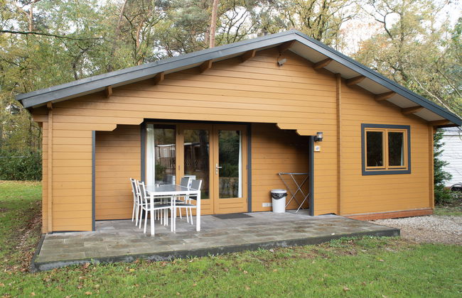 Casa con 4 camere da letto a Schinveld con giardino e terrazza - Foto 14