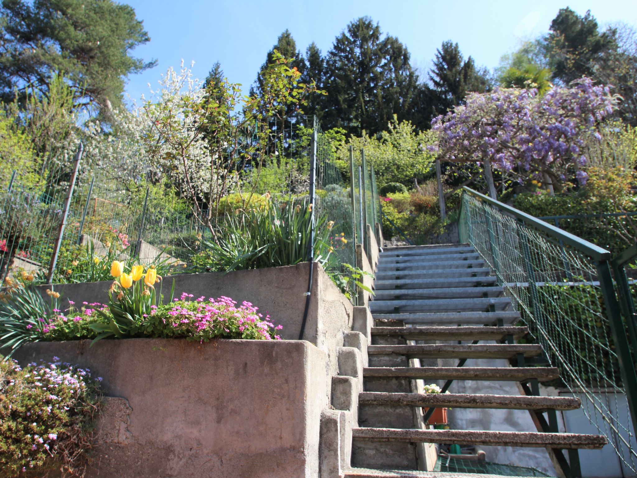 Foto 32 - Appartamento con 3 camere da letto a Luino con giardino e vista sulle montagne