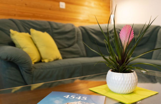 Apartamento de 2 quartos em Saas-Grund - Foto 18