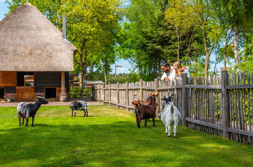 Foto 48 - Haus mit 2 Schlafzimmern in Otterlo mit schwimmbad und terrasse