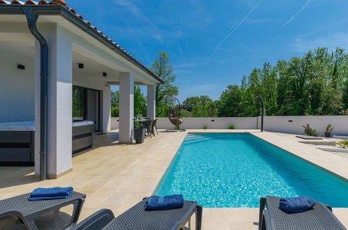 Photo 1 - Maison de 2 chambres à Marčana avec piscine privée et vues à la mer