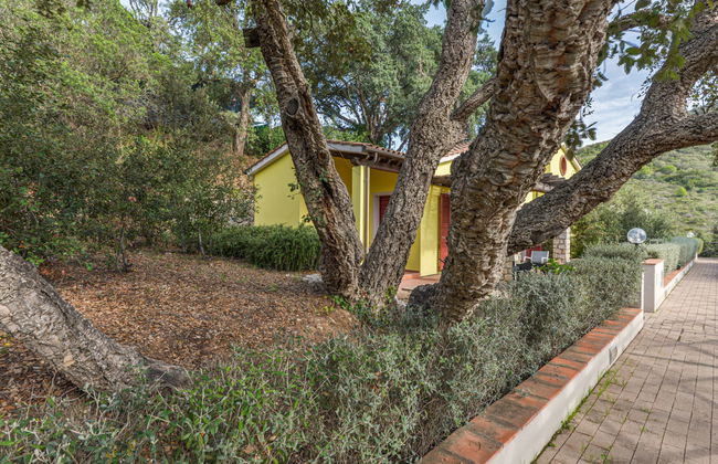 Casa de 3 quartos em Rio com jardim e terraço - Foto 36