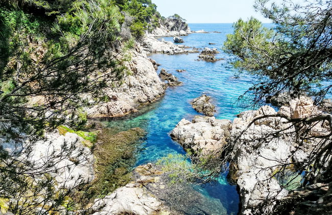 Casa de 5 quartos em Palafrugell com piscina e jardim - Foto 37