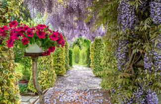 Foto 3 - Casa de 2 quartos em Asti com jardim e terraço